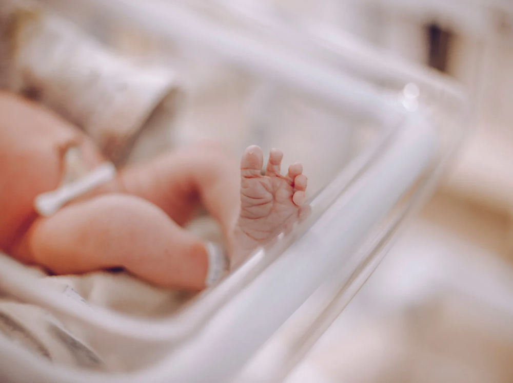 Newborn Baby Sleeping In A Crib
