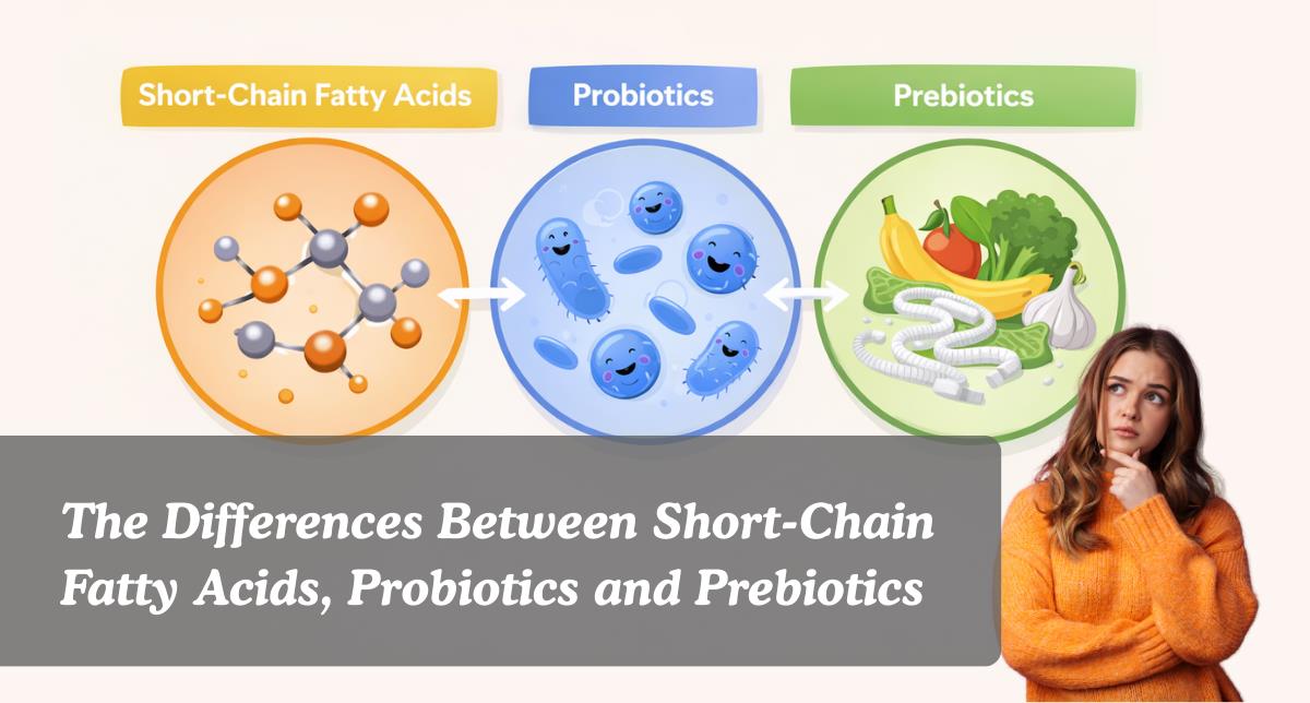 the-differences-between-short-chain-fatty-acids-probiotics-and-prebiotics The differences between short chain fatty acids probiotics and prebiotics